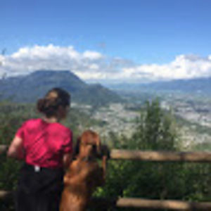 Meet your Posher, Karlie